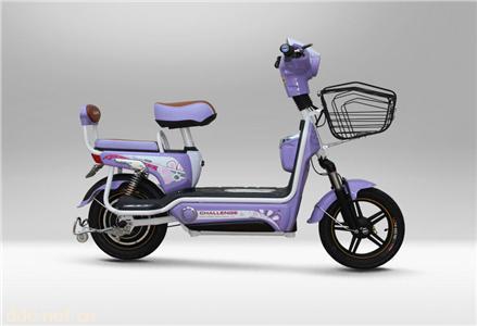  新蕾电动车滑板系列梦精灵16-1